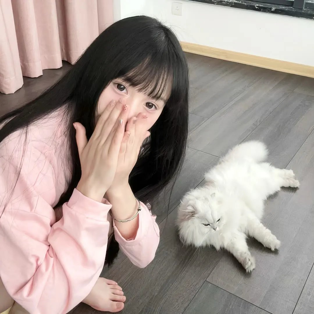 神探特伦特第三季
